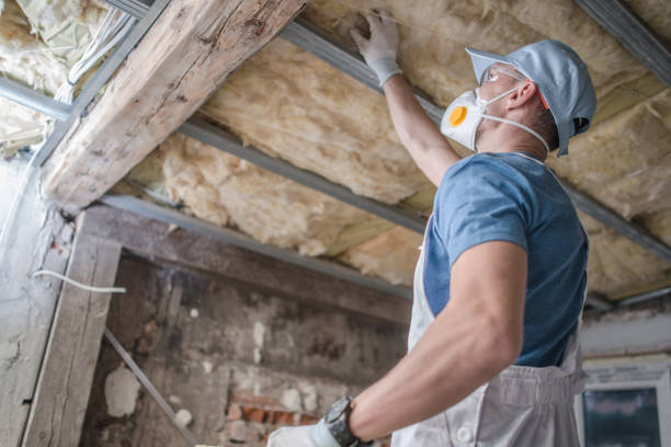 Types of Insulation We Offer in Pittsburg, KS