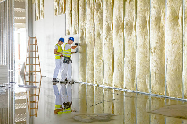 Best Specialized Insulation Services in Pittsburg, KS